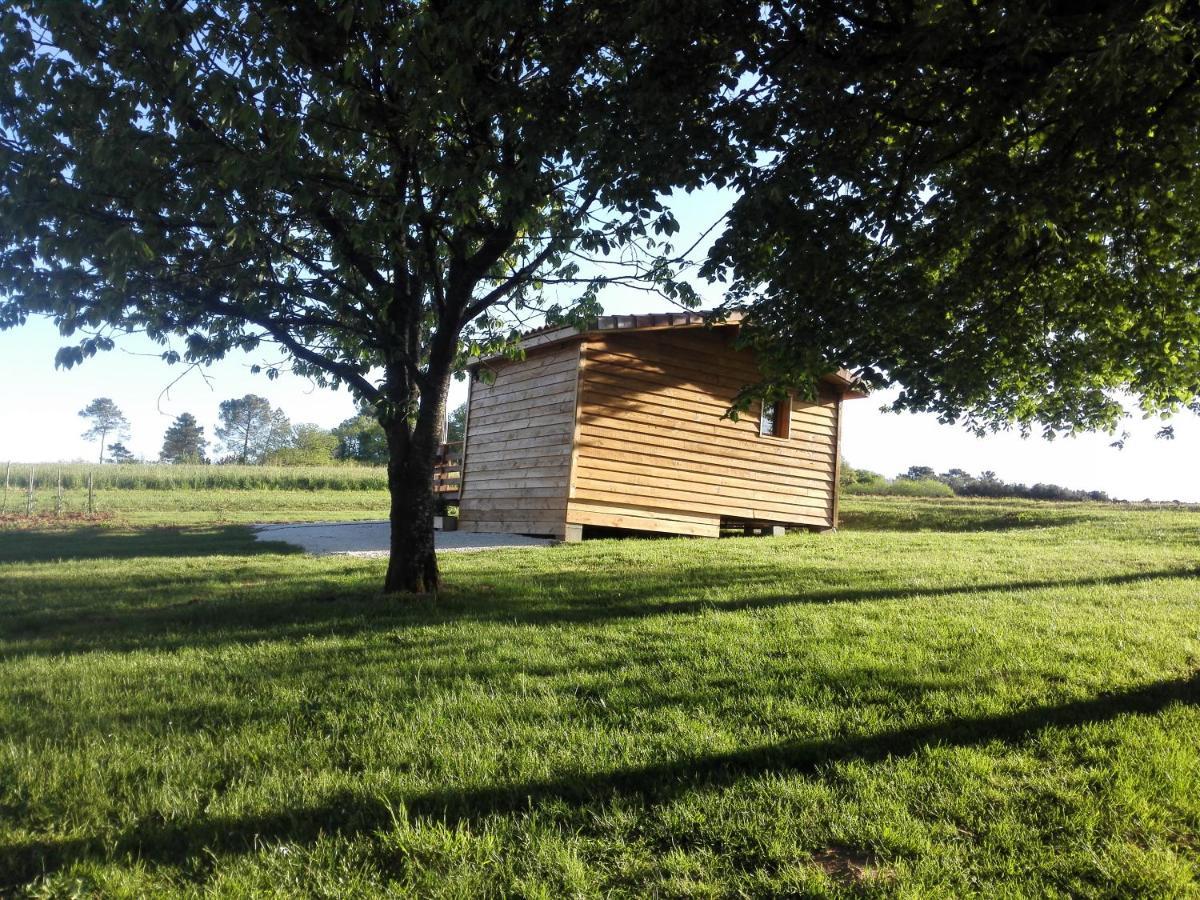 Le Chalet Douillet Saint-Genies Eksteriør billede